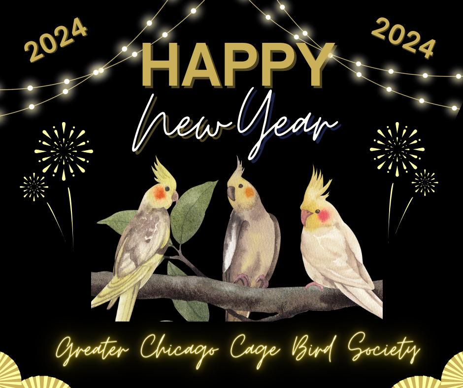 SURRENDERING A BIRD   Happy New Year GCCBS 2024 